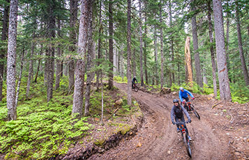 People mountain bike through the woods