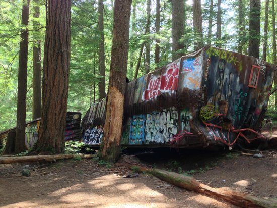 Whistler Train Wreck