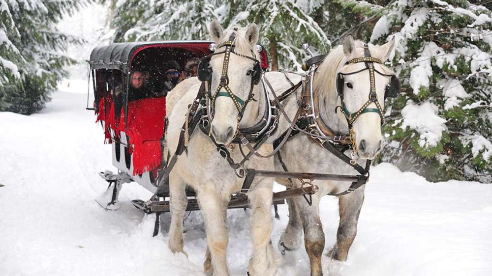 People in a sleigh ride