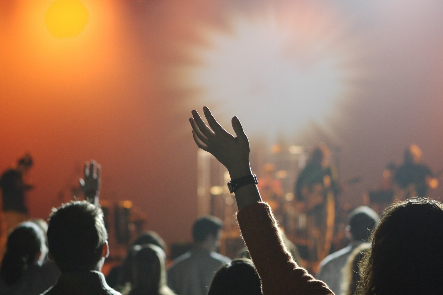 Concert crowd