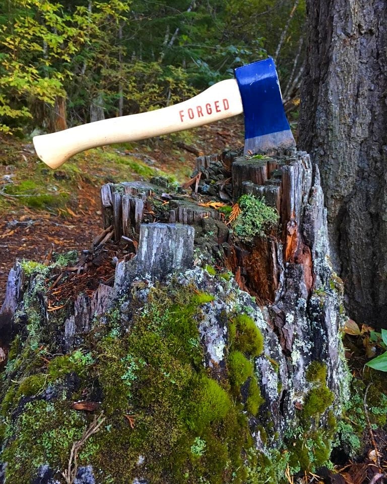 Image of axe in a tree stump