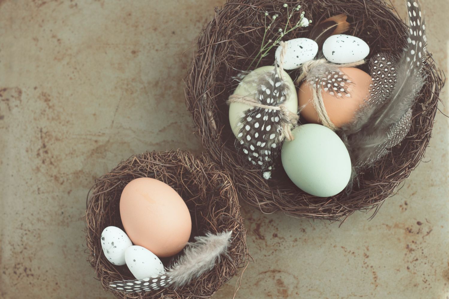 two nests of eggs, with feathers