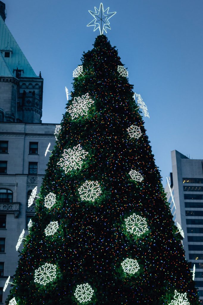 a tree in front of a tall building