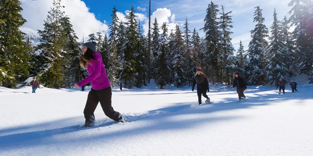 a group of people riding skis down a snow covered slope